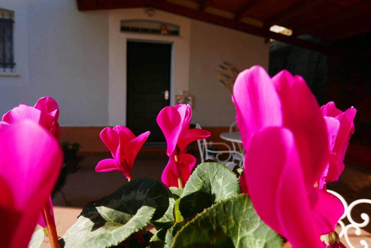 Ai Tre Archi Bed & Breakfast *